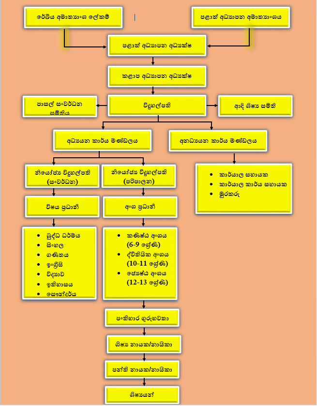 කලමණාකරන ව්යුහය